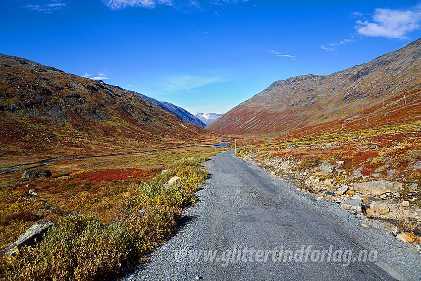 Høst i Leirdalen.