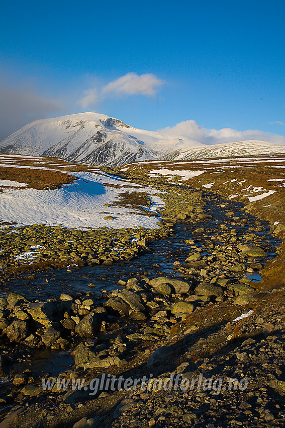 Ved Bessa med utsikt til Besshøe (2258 moh).