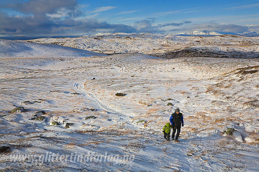 Fjellvandrer på vei opp til Nystølsvarden (1295 moh) på Golsfjellet.