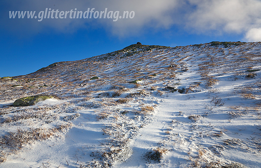 Nystølsvarden (1295 moh) på Golsfjellet.