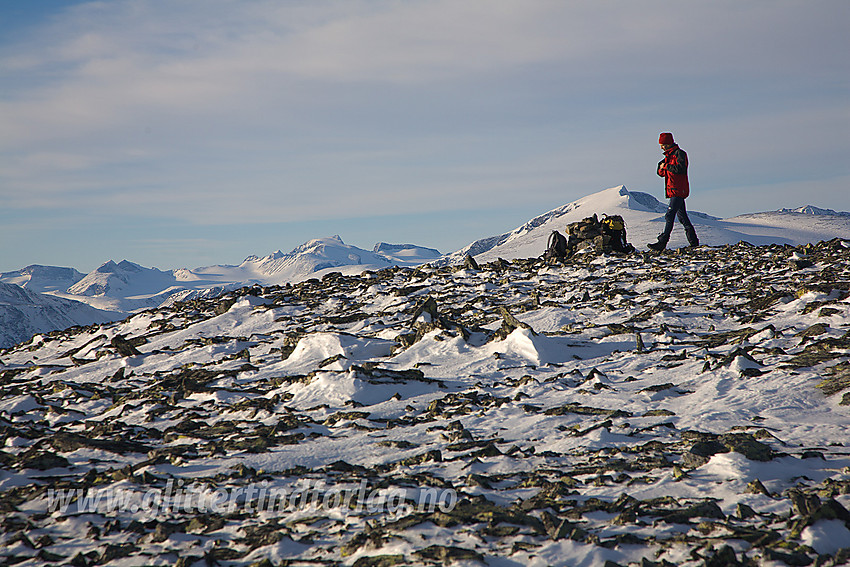 På toppen av Aust-Stornubben (2049 moh) i Øst-Jotunheimen.