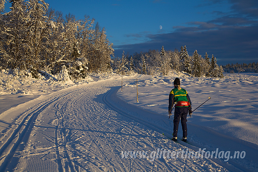 På tur i Skardåsenløypa i Skrautvål, ved Sæbustølmyran.