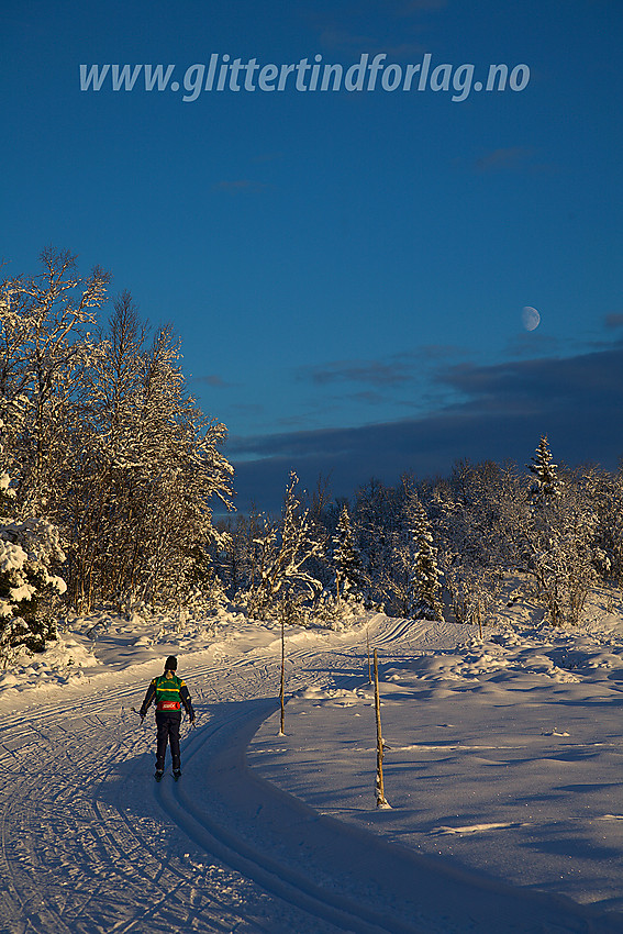 På tur i Skardåsenløypa i Skrautvål, ved Sæbustølmyran.