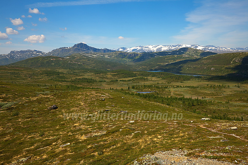 Opp ved Tutjernkampen, like ved Beitostølen, med utsikt i retning Oledalsbrynane, Bitihorn og Jotunheimen.