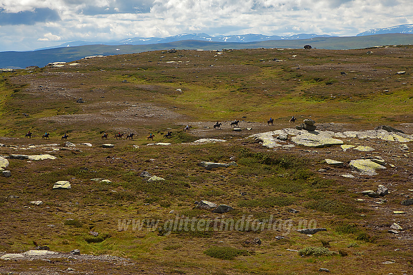 På fjellet øst for Båtskardet med en gruppe ryttere på tur.