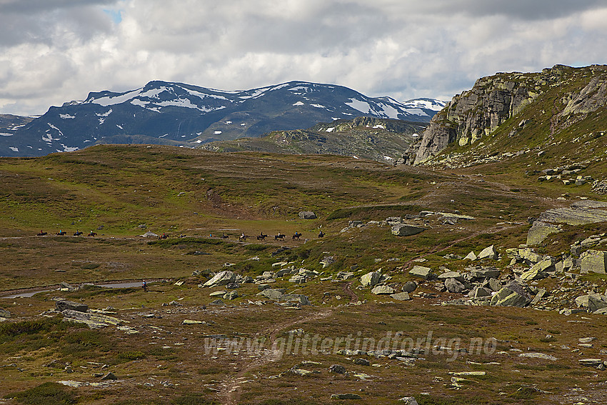 På Oledalsbrynane under en tur til Gravolskampen (Øystre Slidre, ikke langt fra Beitostølen). I bakgrunnen Mugnetinden (1738 moh).