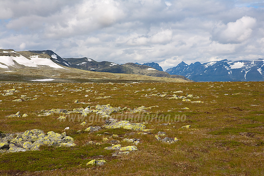 På Slettefjellet i Vang med bl.a. Mugnetinden og Jotunheimen med Gjendealpene i bakgrunnen.