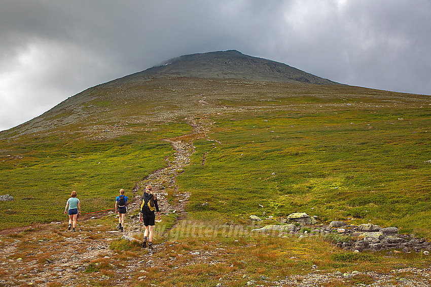 På vei til Skogshorn via normalruta.