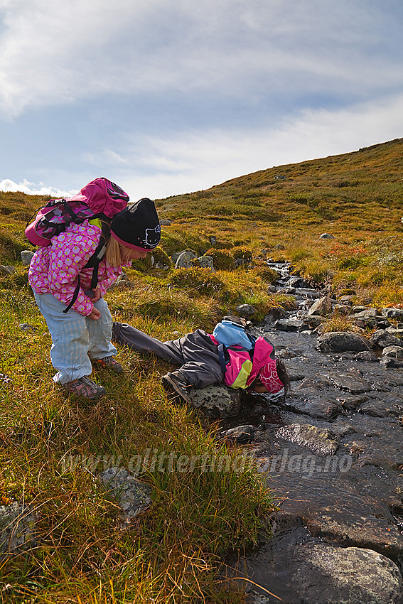 Smaker det eller? Liten drikkepause på tur til Nystølsvarden på Golsfjellet.