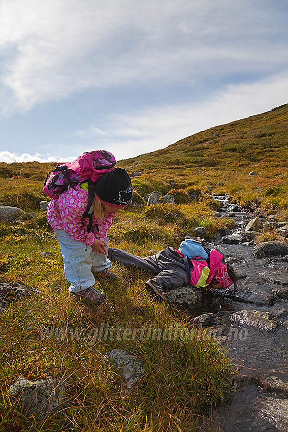 Smaker det eller? Liten drikkepause på tur til Nystølsvarden på Golsfjellet.