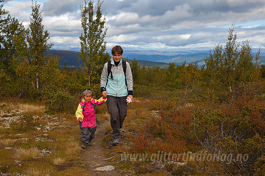 På vei mot Syni (1137 moh) i Nord-Aurdal fra vest.