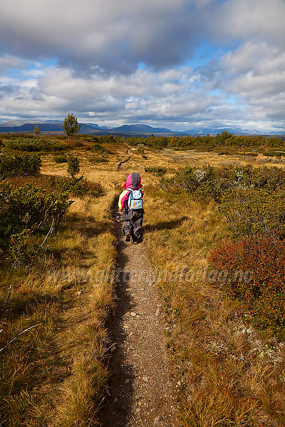 På vei ned fra Syni i Nord-Aurdal.