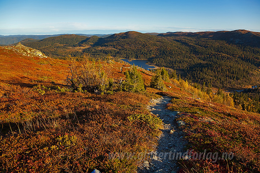 På vei opp mot Binnhovknatten fra øst. I bakgrunnen bl.a. Robølfjellet og Fjellenden.