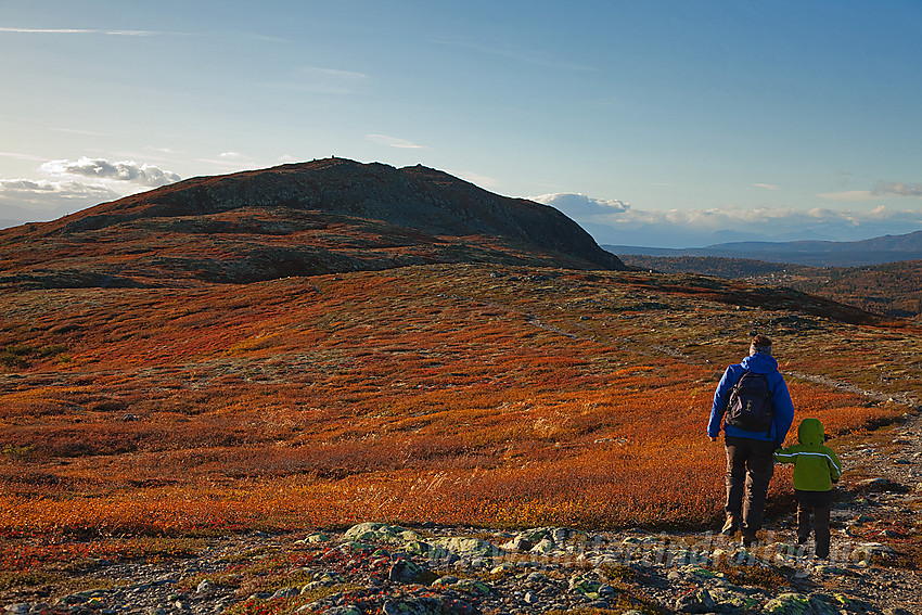 På vei mot Binnhovdknatten (1165 moh) fra øst.