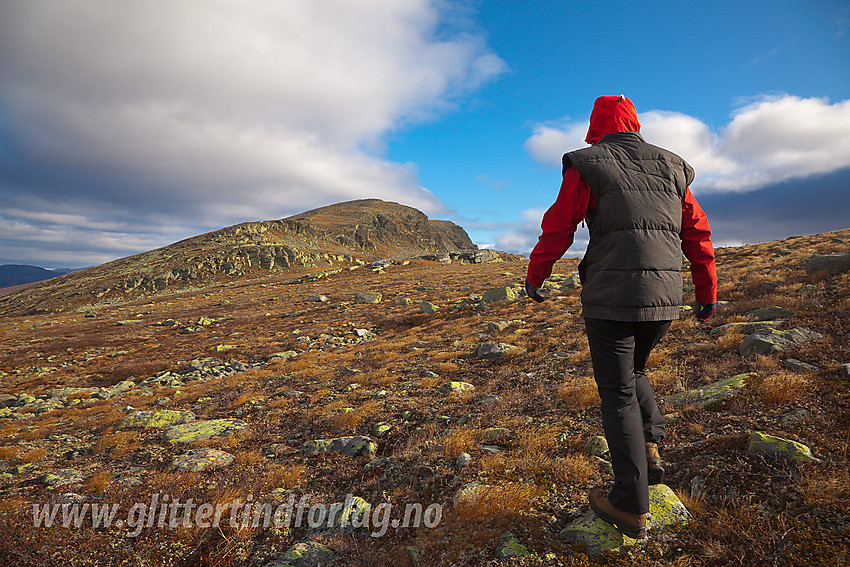 På vei mot Søre Langsua (1520 moh) fra vest.