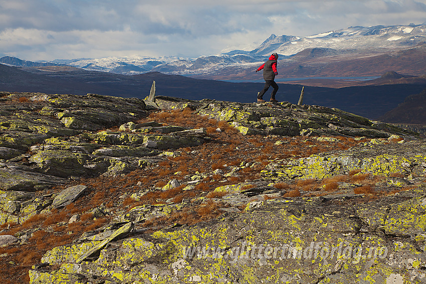 En vindfull høstdag på toppen av Søre Langsua (1520 moh). Jotunheimen i bakgrunnen.