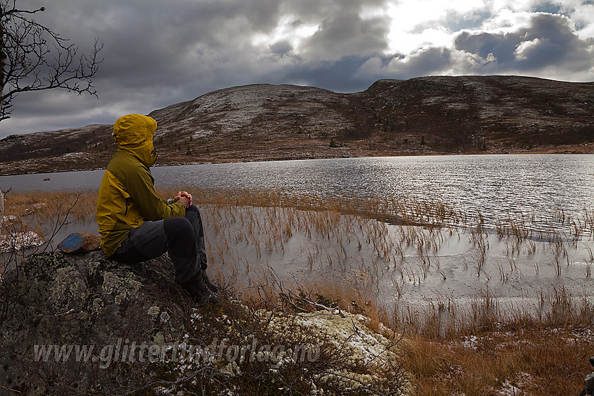 I Rauddalen, mellom Kjøla- og Gravfjellet i Øystre Slidre. Her med Gravfjellet (1173 moh) i bakgrunnen.