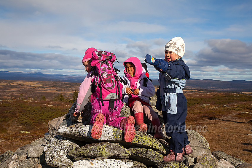 På toppen av Goaren (1070 moh) i Etnedal.