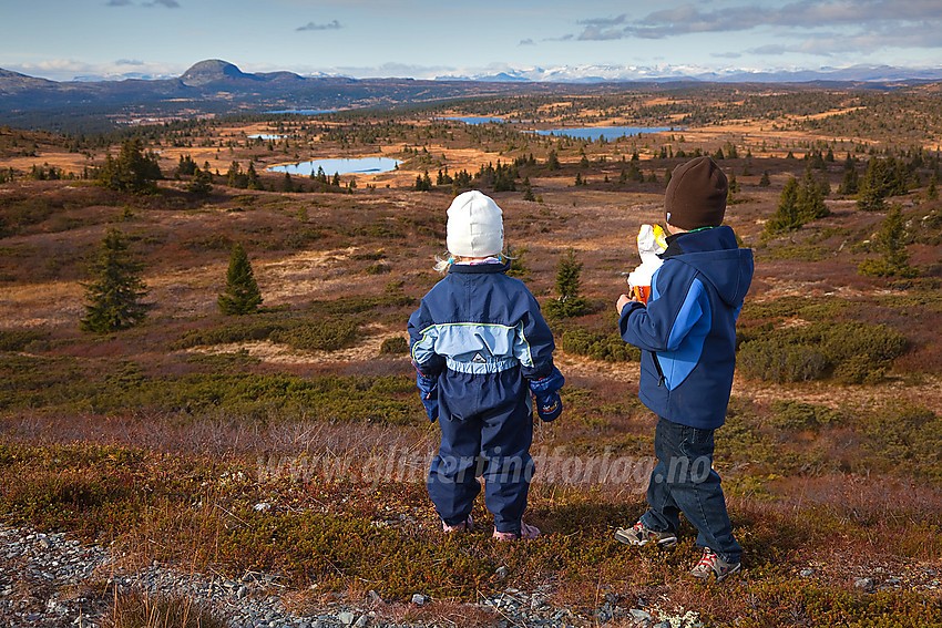 Små fjellvandrere stirre utover det vidstrakte landskapet. Her fra Goaren (1070 moh) i Etnedal.