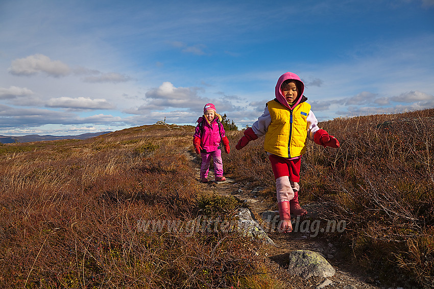 I farta! Ivrige unge fjellvandrere like ved toppen på Goaren (1070 moh).