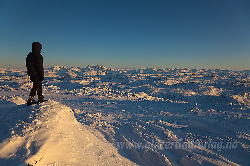 Utsikt fra Berdalseken mot Jotunheimen.