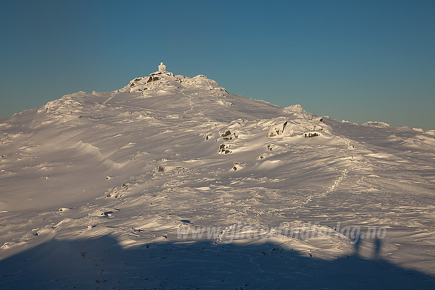 Toppartiet på Berdalseken (1814 moh).