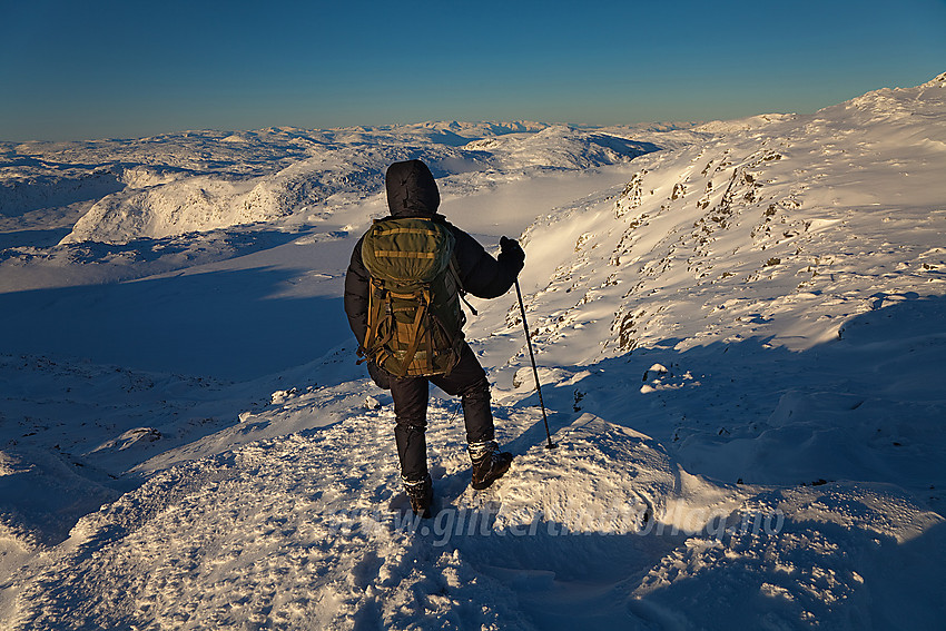 Like østfor Berdalseken (1814 moh) med i vestlig retning mot Sognafjell.