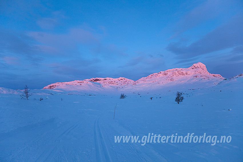 Desembermorgen i løypenettet på Beitostølen med Bitihorn (1607 moh) glødende i bakgrunnen.