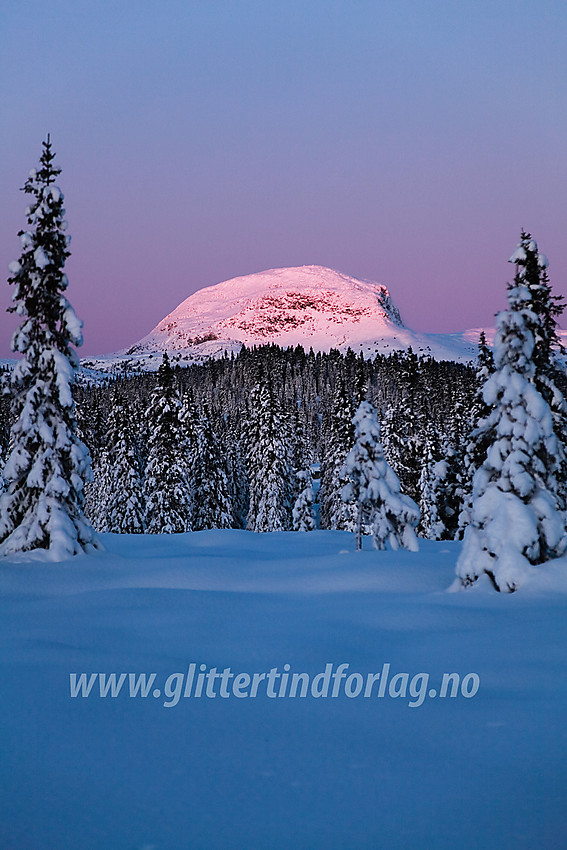 I den såkalte "Grøslirunden" like ved Siglovatnet en bitende kald desembermorgen ved soloppgang med Rundemellen i bakgrunnen.