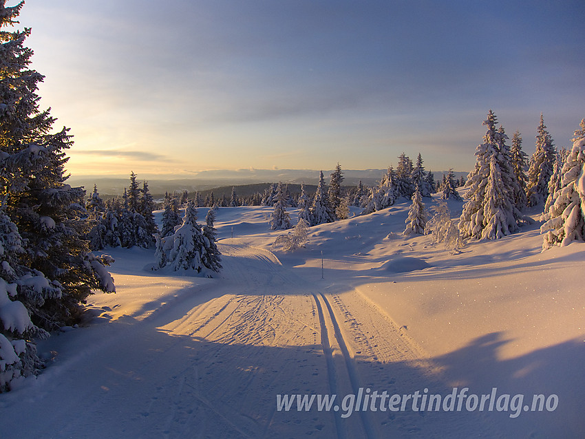 I Skardåsenløypa i Nord-Aurdal (Leirin Skiløyper AS) et lite stykke nedenfor Skardåsen.