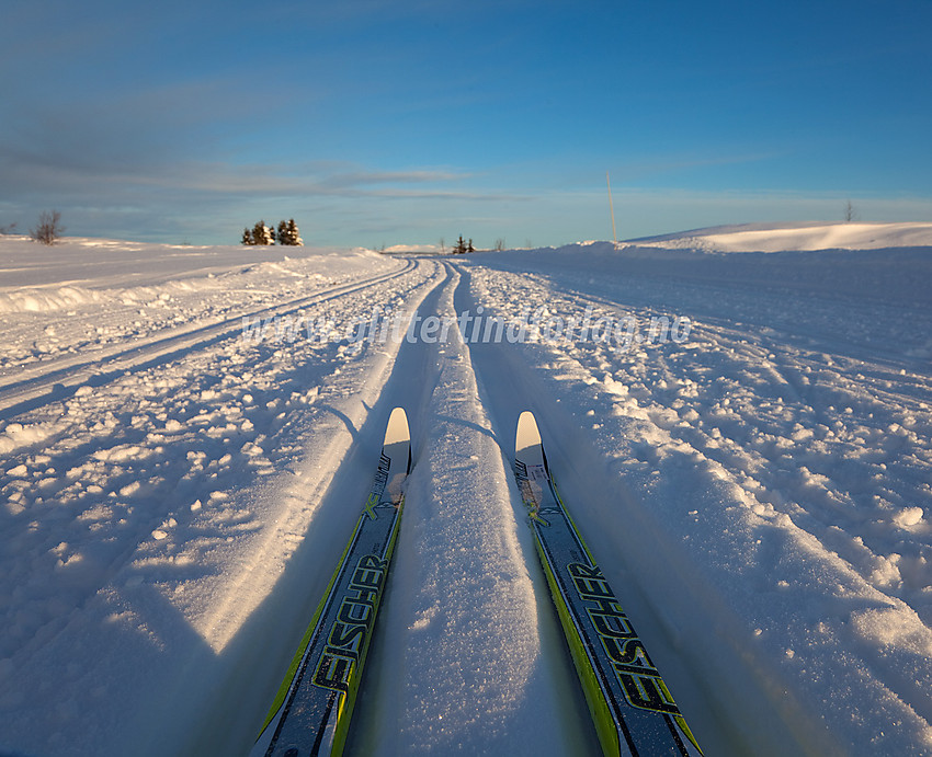 Ski i skiløype, nær Vaset på Nord-Aurdalsiden.