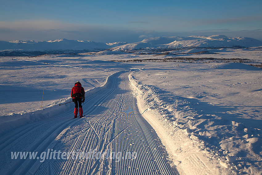 Skiløper i fint driv over Selegge, ikke så langt fra Syni, i skiløypenettet ved Vaset. Utsikten er upåklagelig her oppe, her mot fjellene rundt Storfjorden med Grønsennknipa helt til høyre.