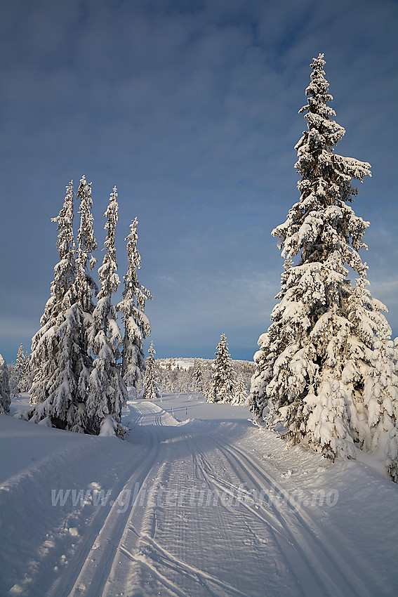 På vei opp mot Smørlifjellet. I bakgrunnen ses såvidt Tveitastølfjellet.