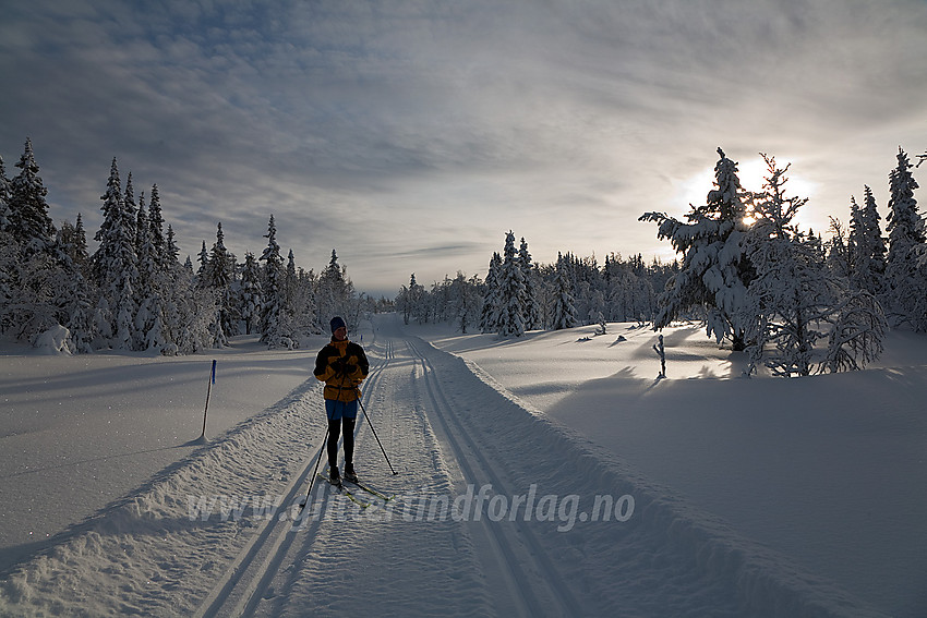 I løypa fra Tveitastølen mot Smørlifjellet.