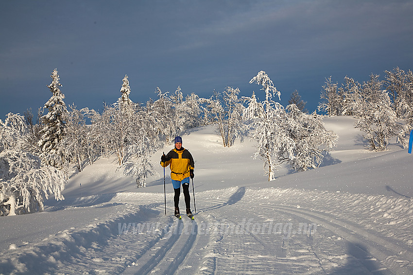 Under en tur i Smørlirunden, en del av løypenettet til Kruk og Aurdal løypelag.