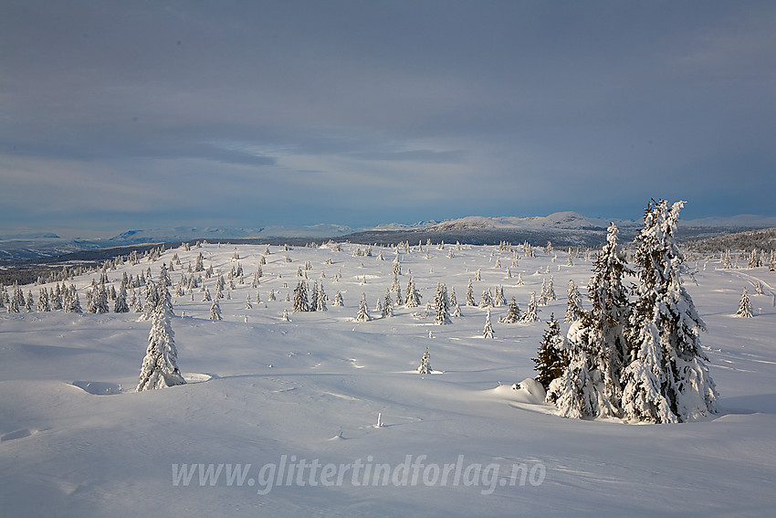 Oppunder Smørlifjellet en flott vinterdag.