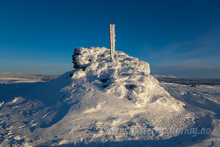 På toppen av Bjørgovarden (1138 moh), et populært turmål sommer som vinter.