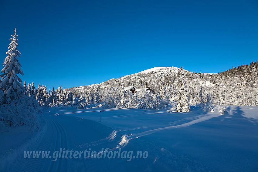 I løypenettet til Kruk og Aurdal løypelag, nede på flata mellom Fjellenden og Binnhovdknatten med deler av sistnevnte i bakgrunnen.