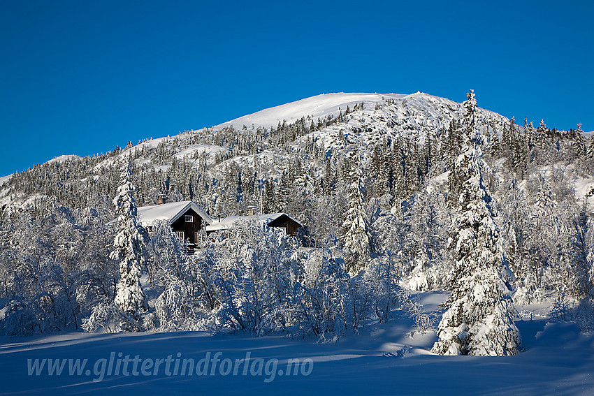 På flata nede mellom Fjellenden og Binnhovdknatten, med østenden på Binnhovdknattmassivet i bakgrunnen.