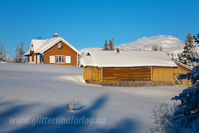 I løypenettet til Kruk og Aurdal løypelag ved Nystølen med Binnhovdknatten i bakgrunnen.