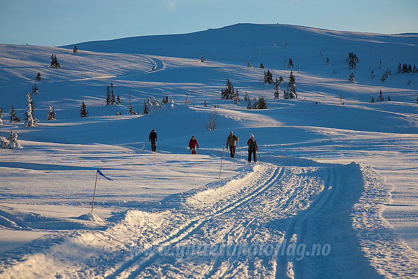 Skiløpere på flate nedenfor Smørlifjellet i Nord-Aurdal.