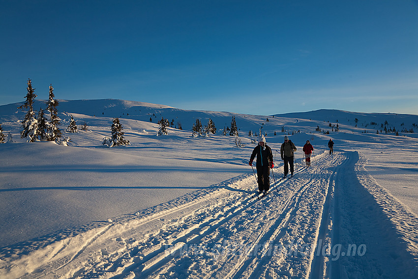 Skiløpere på flate nedenfor Smørlifjellet i Nord-Aurdal med toppen (1160 moh) bak til venstre.