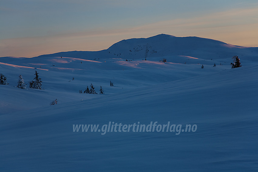 Binnhovdknatten (1165 moh) sett fra nord en januarkveld.