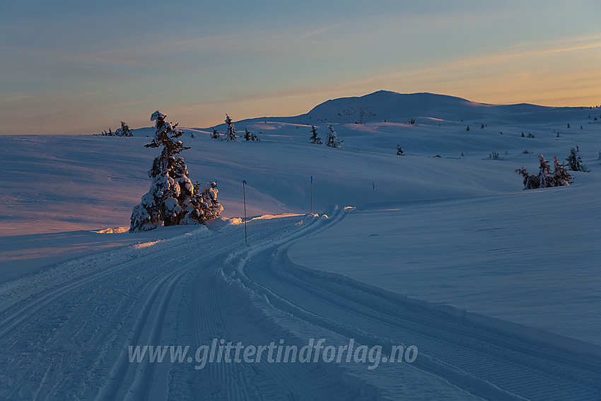 I Smørlirunden med Binnhovdknatten (1165 moh) i bakgrunnen.