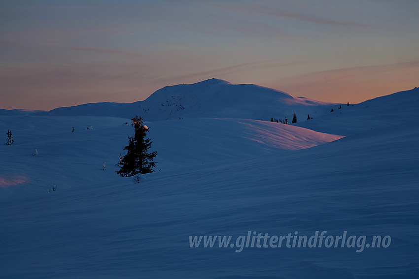 Binnhovdknatten (1165 moh) sett fra Smørlirunden en januarkveld.