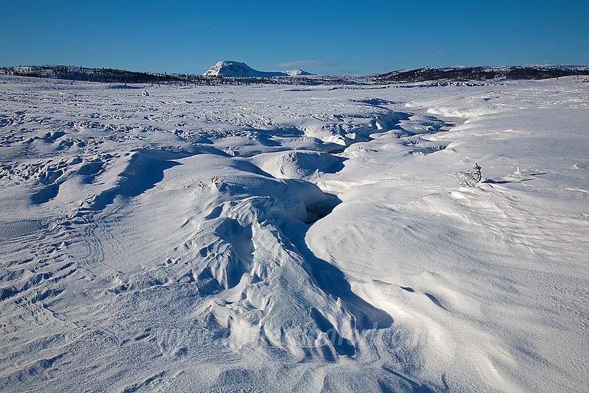 Ved utløpet av Tansbergfjorden med Rundemellen i bakgrunnen.