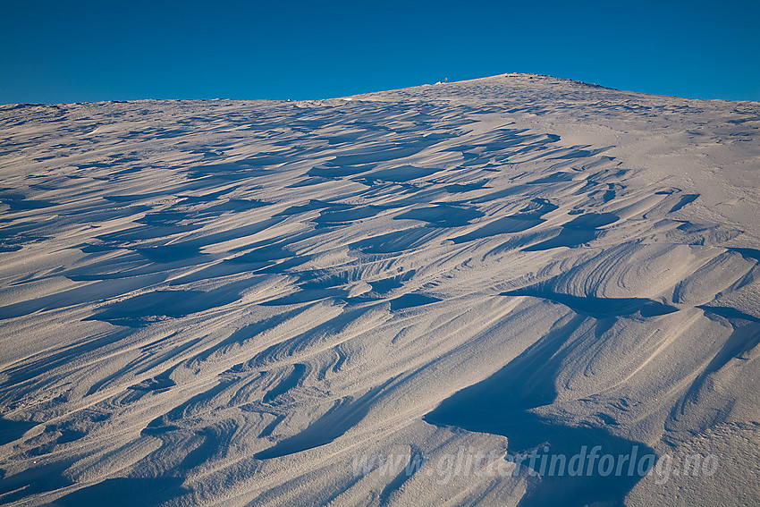 På Skogshorn med dekorative snøskavler i morgensola. I bakgrunnen ses toppunktet.