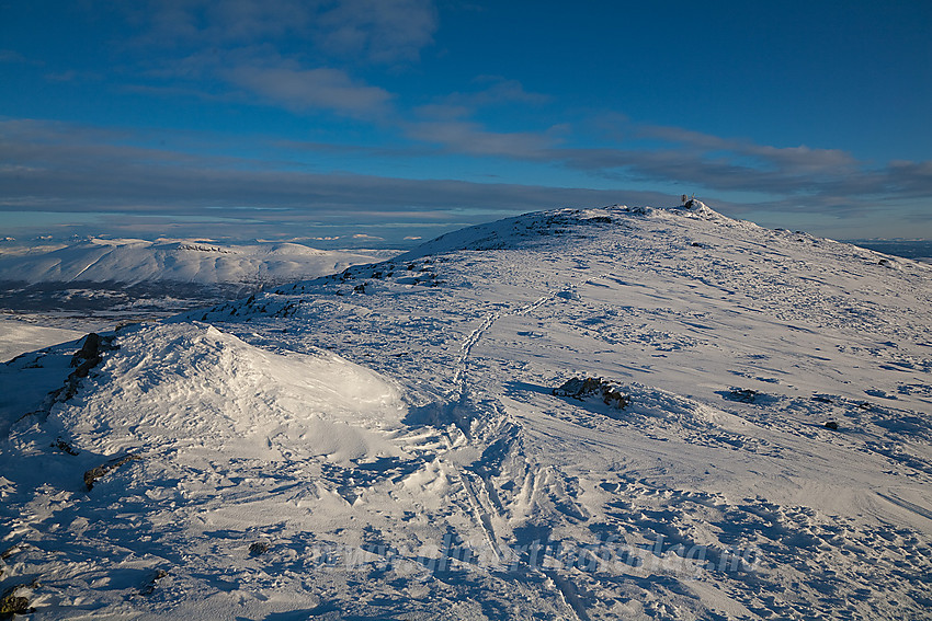 Toppen på Skogshorn sett fra sørvest.