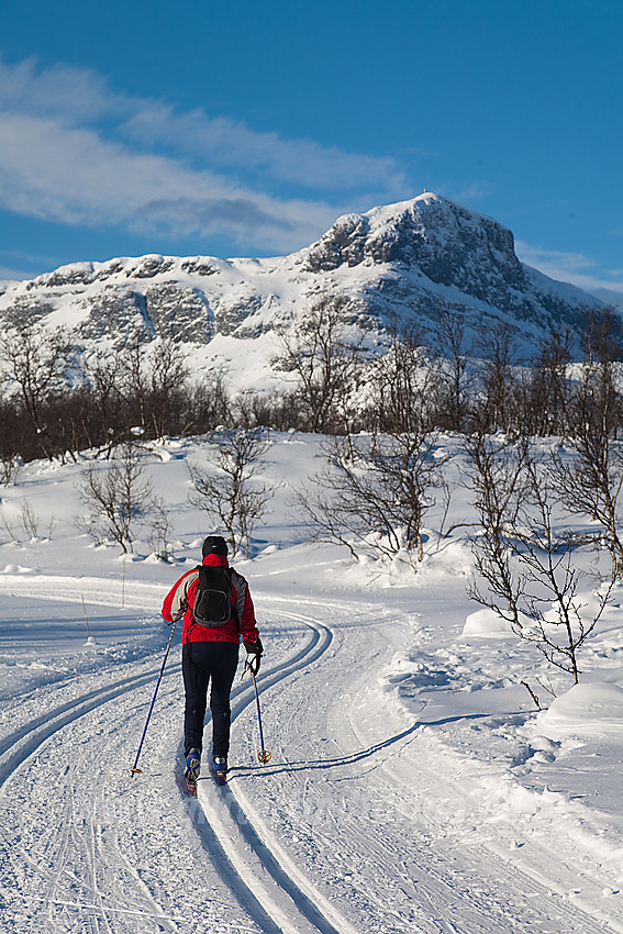 I skiløypenettet på Beitostølen med landemerket Bitihorn (1607 oh) i bakgrunnen.