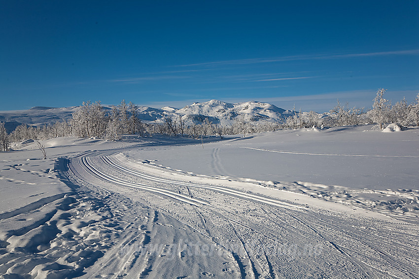 I løypenettet på Beitostølen nær kryss mellom Grønn og Blå løype med Mugnetinden i bakgrunnen.